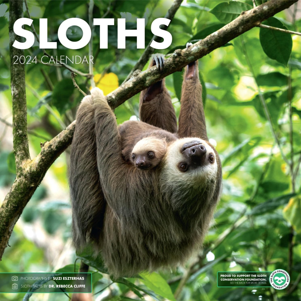 SLOTHS 2025 Wall Calendar The Sloth Conservation Foundation