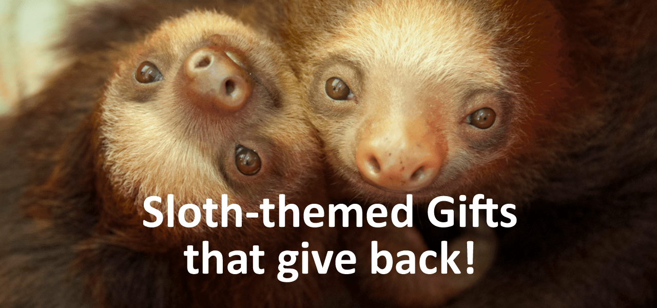 sloth themed gifts and merchandise