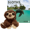 2025 Sloth Calendar + Scruffy Sloth Toy