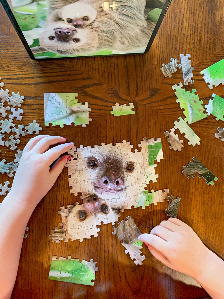 Sloth Photo Puzzle with Tin Box