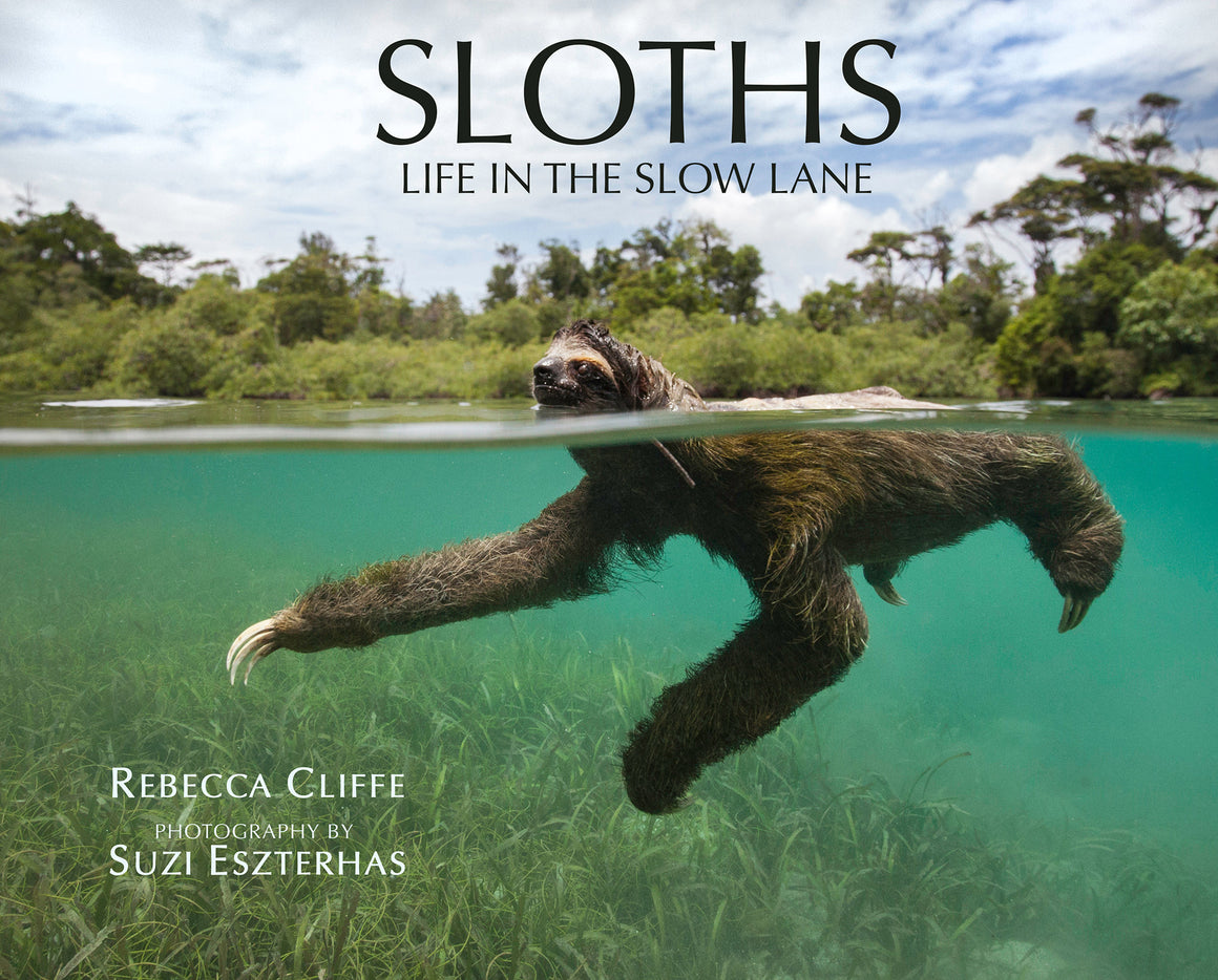 sloth book