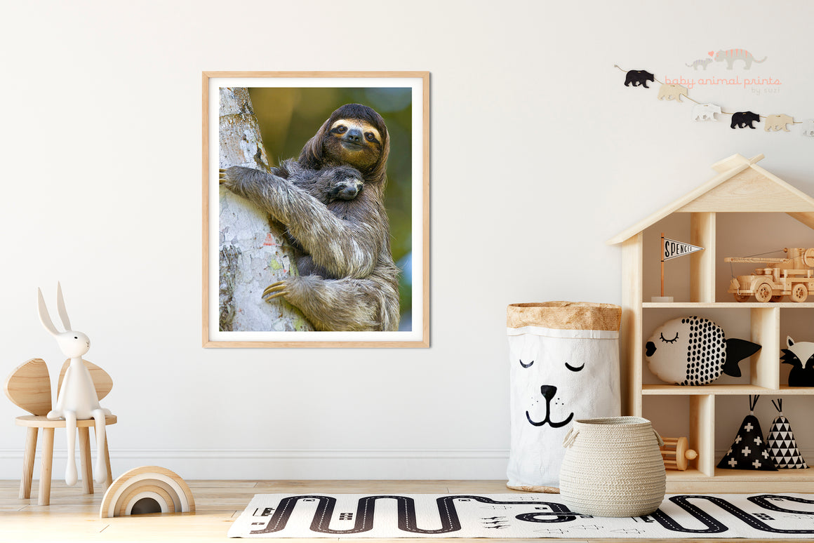 BABY THREE-FINGERED SLOTH WITH MOM PHOTO PRINT