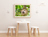 MOMMA AND BABY TWO-FINGERED SLOTH PHOTO PRINT